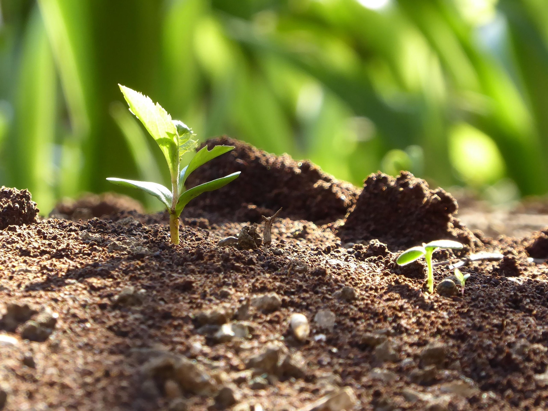Der Frühling ist da und Profikreisel startet durch!